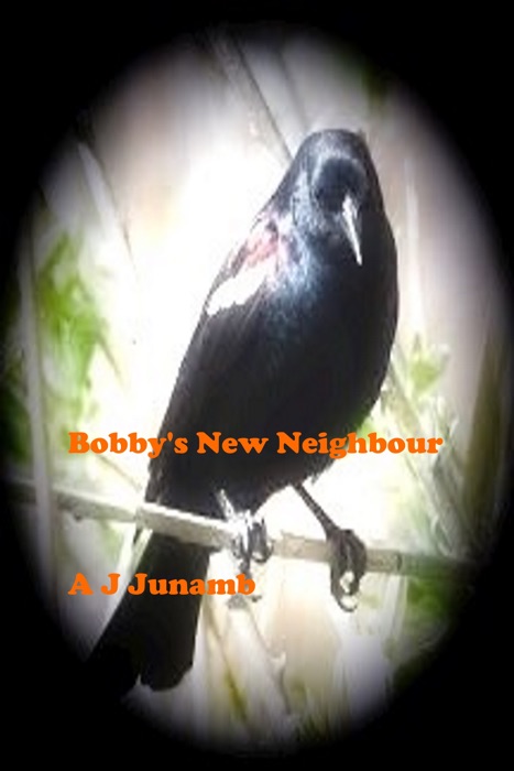 Bobby The Blackbird: Bobby's New Neighbour