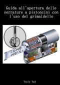 Guida all'apertura delle serrature a pistoncini con l'uso del grimaldello - Tooly Ted