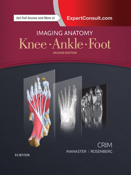 Imaging Anatomy: Knee, Ankle, Foot E-Book
