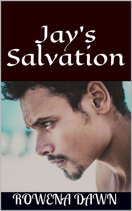 Jay's Salvation (Book 3 in The Winstons Series)