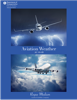 Federal Aviaiton Administration - Aviation Weather artwork