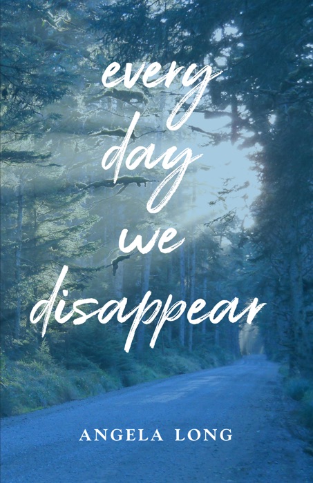 Every Day We Disappear