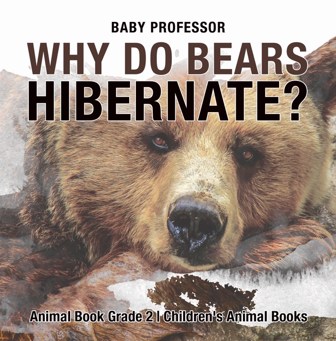 Why Do Bears Hibernate? Animal Book Grade 2  Children's Animal Books