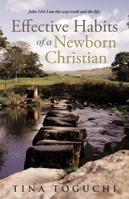 Effective Habits of a Newborn Christian