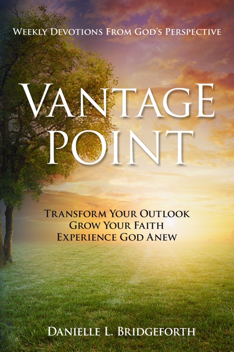 Vantage Point: Weekly Devotions from God's Perspective