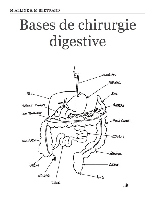 Bases de chirurgie digestive