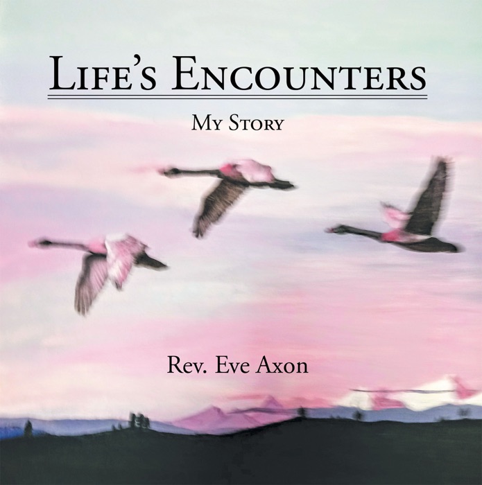 Life’s Encounters