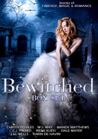 The Bewitched Box Set