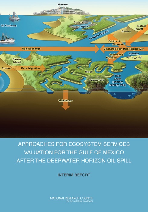 Approaches for Ecosystem Services Valuation for the Gulf of Mexico After the Deepwater Horizon Oil Spill