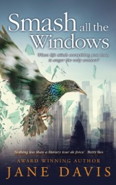 SMASH ALL THE WINDOWS
