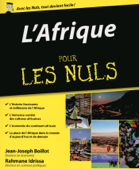 L'Afrique pour les Nuls - Jean-Joseph Boillot & Abdourahmane Idrissa