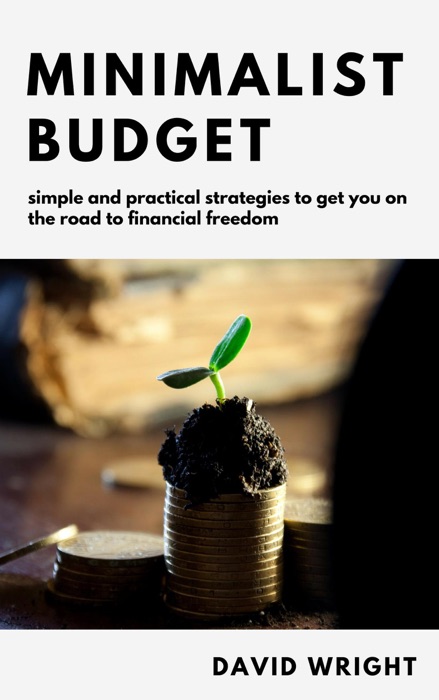 Minimalist Budget: Simple And Practical Strategies to Get You on the Road to Financial Freedom