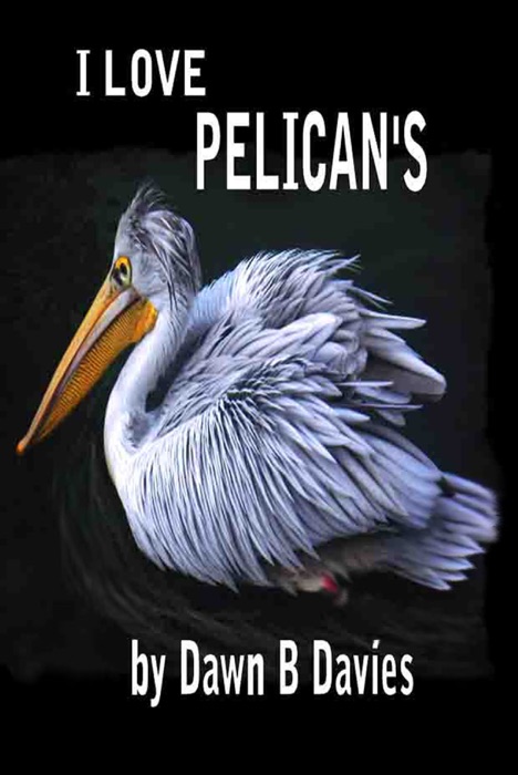 I Love Pelicans