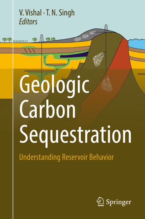 Geologic Carbon Sequestration