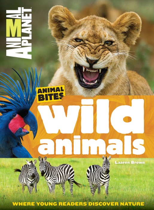 Wild Animals (Animal Planet Animal Bites)