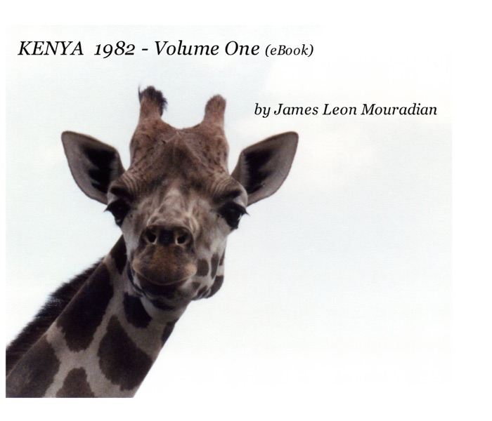 Kenya 1982 - Volume One (eBook)