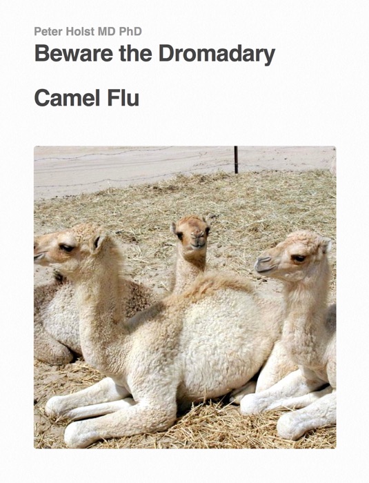 Beware the Dromedary Camel Flu