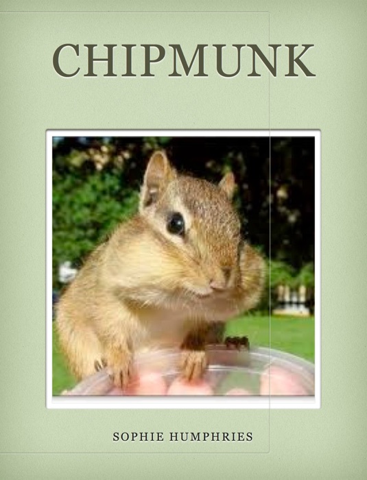 CHIPMUNK