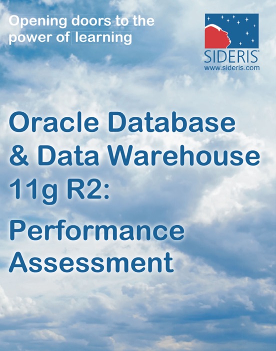 Oracle Database & Data Warehouse 11g R2: Performance Assessment