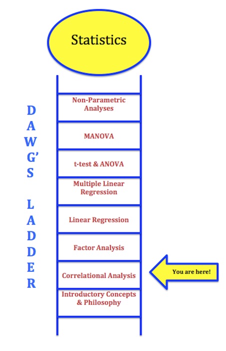 Correlational Analysis