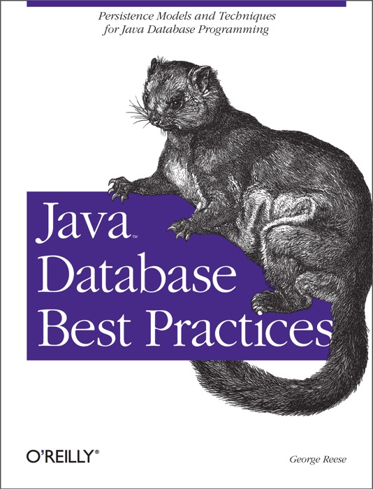 Java Database Best Practices