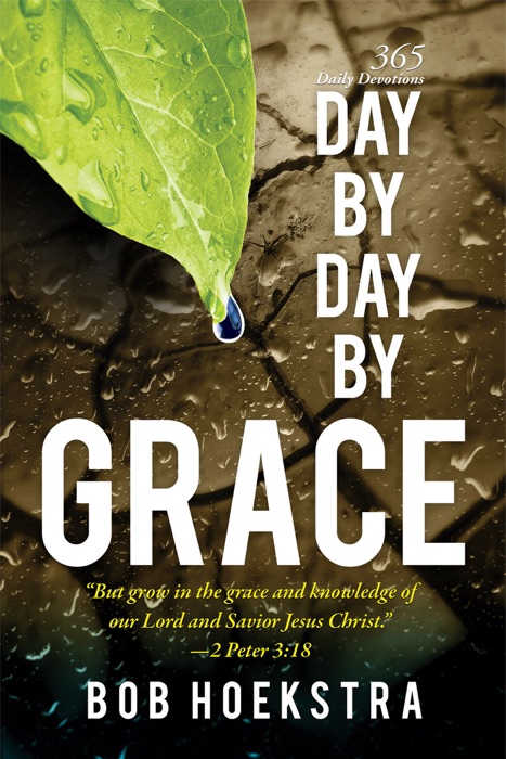 Day by Day by Grace