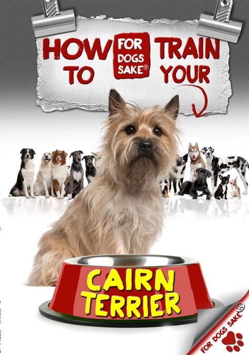 How to Train Your Cairn Terrier