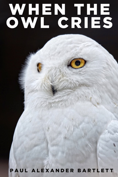 When the Owl Cries