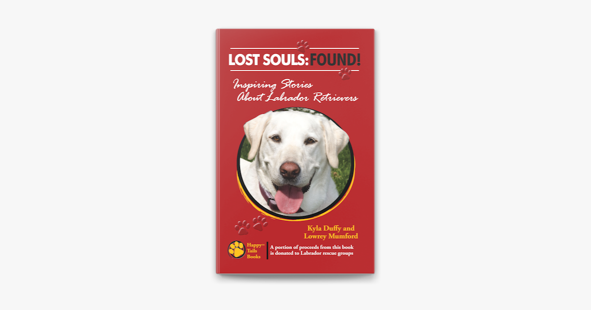 is there a rescue group for labrador retrievers