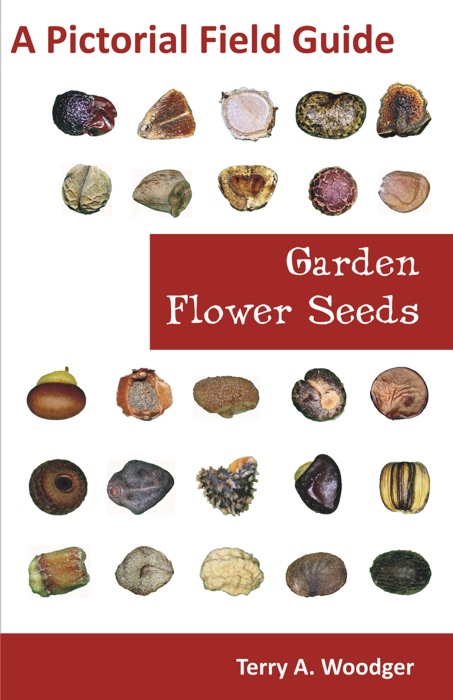 Garden Flower Seeds