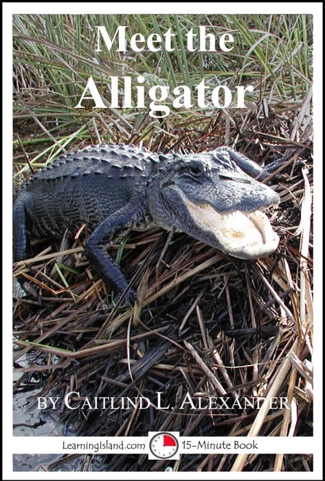 Meet the Alligator: A 15-Minute Book for Early Readers