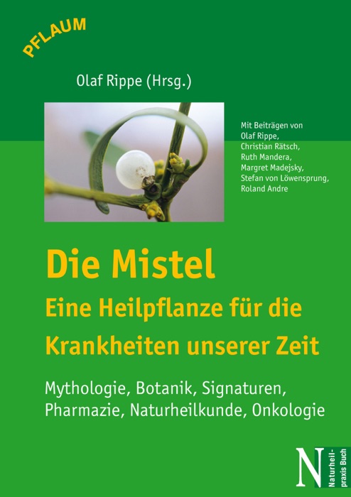 Die Mistel - Eine Heilpflanze für die Krankheiten unserer Zeit