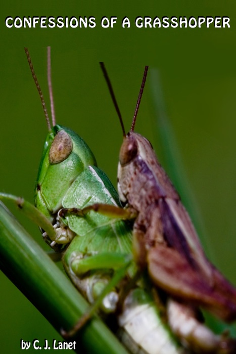 Confessions of a Grasshopper