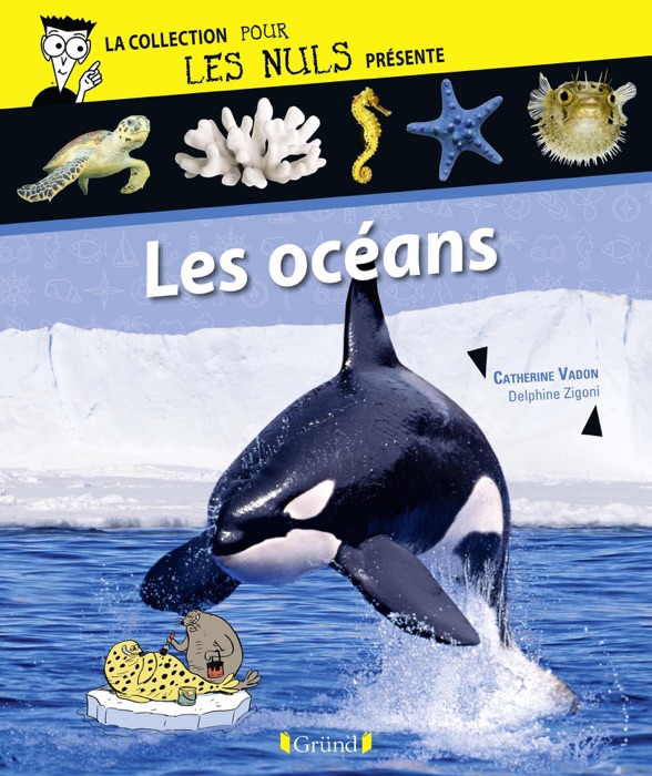 Pour Les Nuls présente Les océans