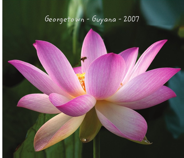 Georgetown Guyana
