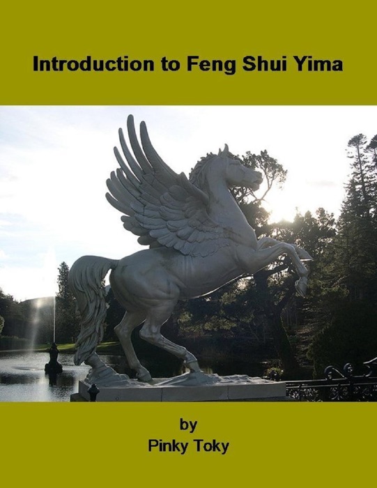 Introduction to Feng Shui Yima