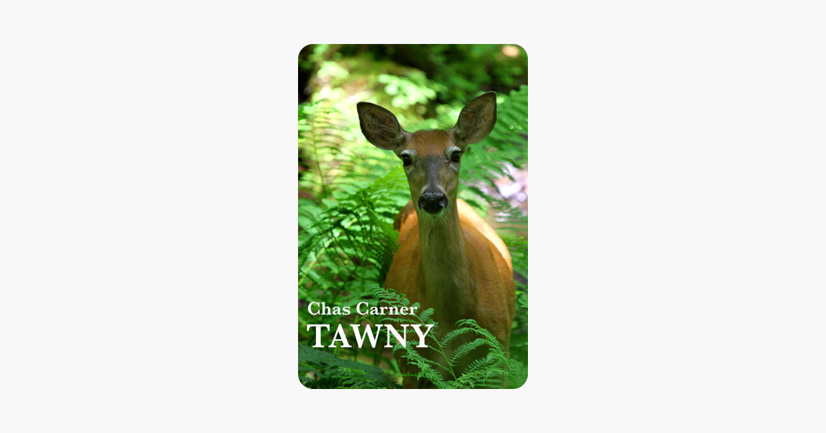 Tawny - 