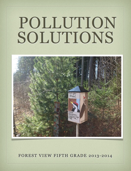 Pollution Solutions