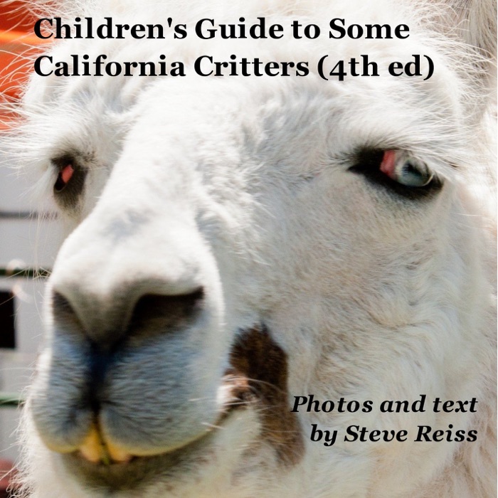 Children's Guide to Some California Critters (4th Ed)