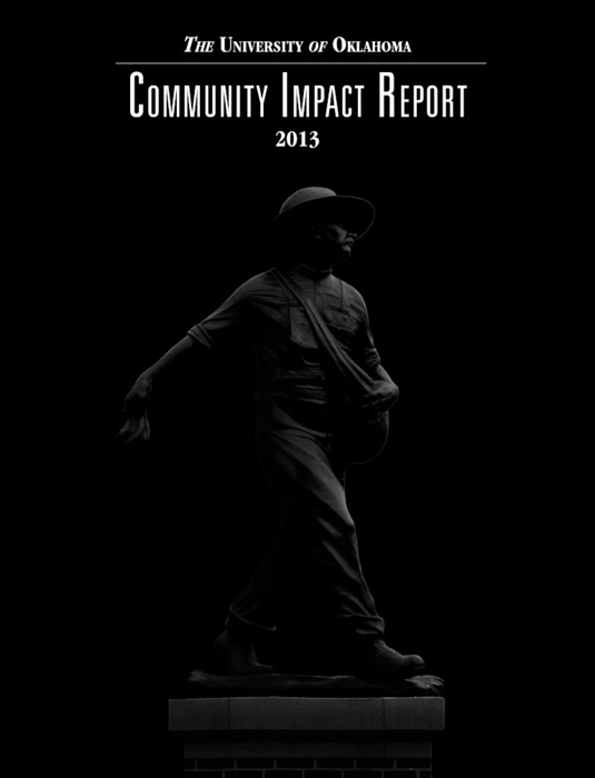 Community Impact Report 2013