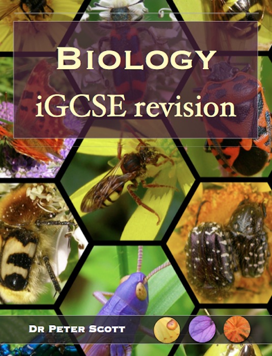 Biology iGCSE Revision