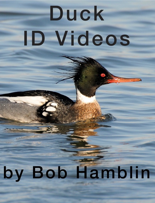 Duck ID Videos