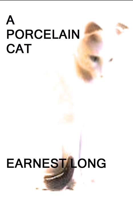 A Porcelain Cat