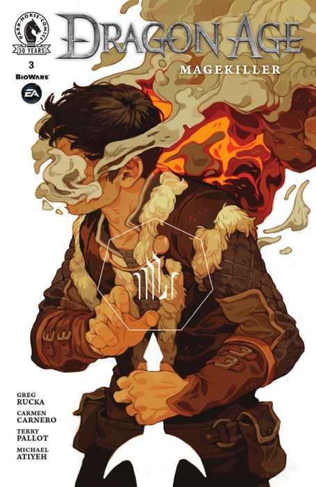Dragon Age™: Magekiller #3