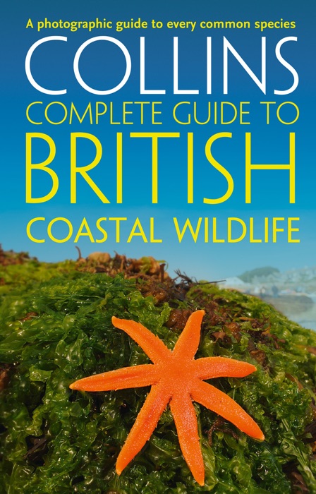 British Coastal Wildlife