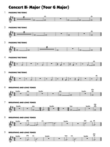 Sound Innovations for Concert Band: Ensemble Development for ...