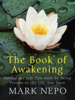 Mark Nepo - The Book of Awakening artwork