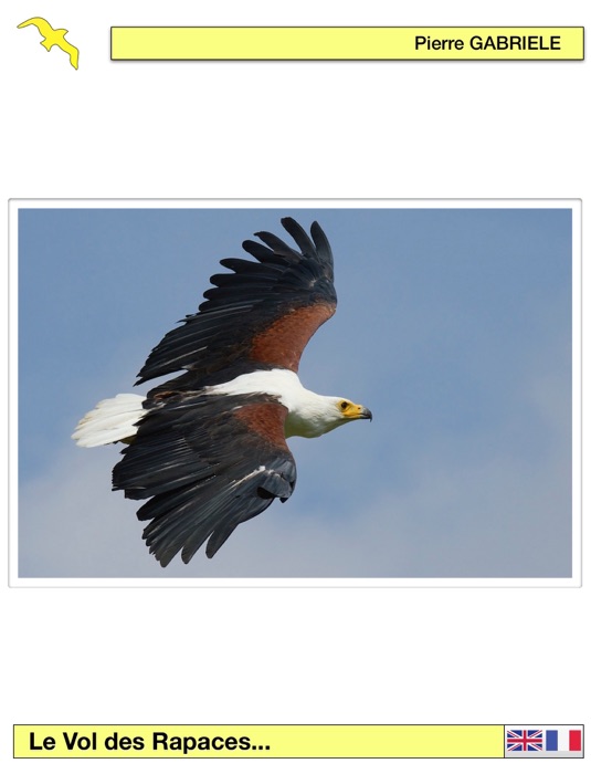 Le Vol des rapaces