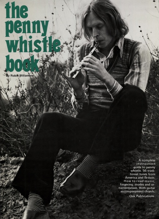 Penny Whistle Book