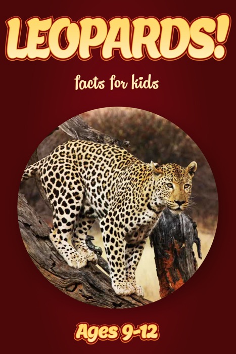 Leopard Facts For Kids 9-12